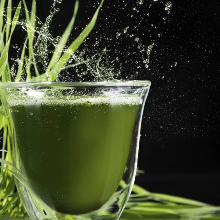 the-benefits-of-drinking-barley-grass-juice-are-the-only-benefits