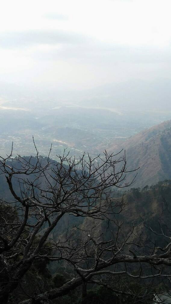 देशातील हवामान कसं आहे?