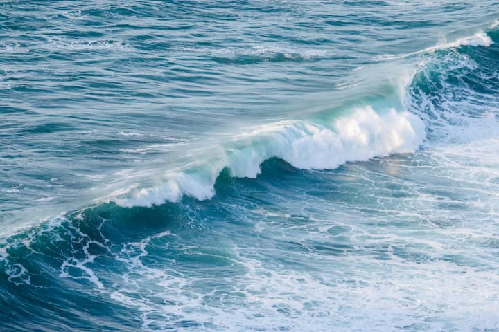 बजट में प्रधानमंत्री मत्सय संपदा योजना को भी सशक्त करने की घोषणा की गई है. जिससे एक्वाकल्चर और बेहतर होगा, निर्यात दोगुना होगा और रोजगार के नए अवसर भी पैदा होंगे.