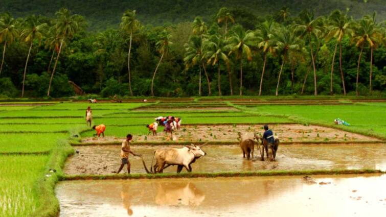 Budget 2024 India Update Agriculture Sector Interim Budget Atmanirbhar Oilseeds Scheme Fisheries Dairy Sector Farmers Investment Nano DAP Budget 2024: ‘Atmanirbhar’ Oilseeds Scheme, Dairy Development Programme On Govt’s Agenda