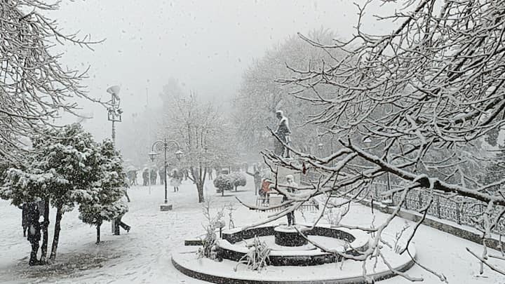 Snowfall in Shimla: फरवरी महीने का पहला दिन पहाड़ों की रानी शिमला के लिए भी आनंदित कर देने वाली बर्फ लेकर आया है. बुधवार (31 जनवरी) को शिमला के ऊंचाई वाले इलाकों में बर्फबारी हुई.