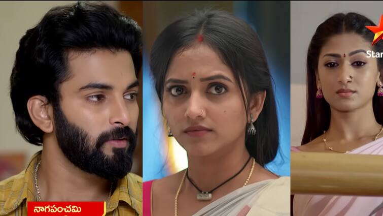 naga panchami serial today february 1st episode written update in telugu Naga Panchami Serial Today February 1st - 'నాగ పంచమి' సీరియల్: మేఘన, మోక్షల పెళ్లిని పంచమి ఆపగలదా? మేఘనను బెదిరించిన తోటికోడళ్లు!