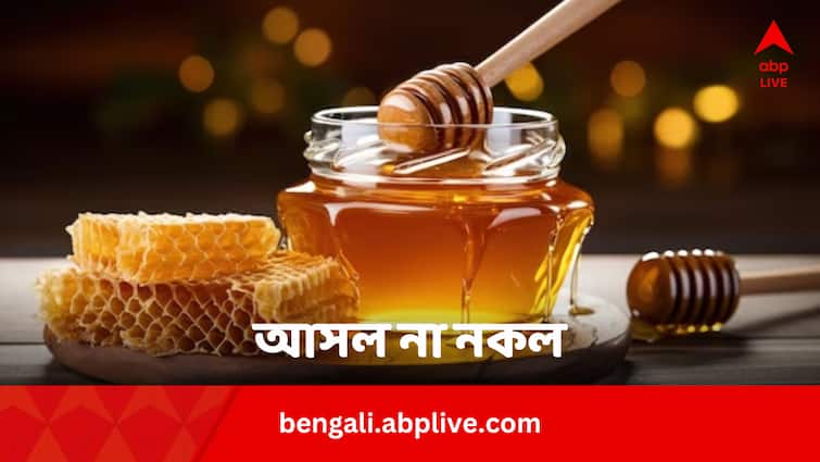 Real Vs Fake Honey Identify adulterated honey with 5 tips Real Vs Fake Honey: আসল মধু, নকল মধু ; খালি চোখে চেনা যায়?