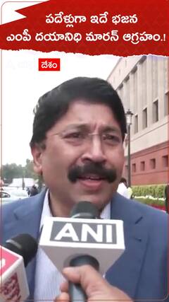 Dayanidhi Maran: బడ్జెట్ పై ఎంపీ దయానిధి మారన్ ఆగ్రహం, పదేళ్లుగా ఇదే భజన అంటూ విమర్శలు