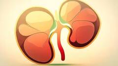 Health Tips: કિડની સ્ટોન સાથે જોડાયેલી એવી માન્યતા જેને આપણે માની લઈએ છીએ સાચી