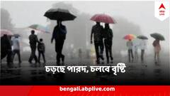 জানুয়ারির শেষে স্বাভাবিকের থেকে ৬ ডিগ্রি বেশি তাপমাত্রা, আর ফিরবে শীত? জানাল আবহাওয়া অফিস