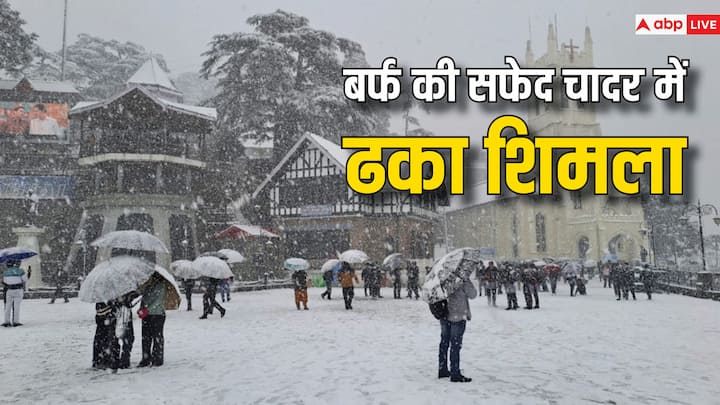 Shimla News: हिमाचल में मौसम ने एक बार फिर करवट बदली है. शिमला में लंबे वक्त से बर्फबारी नहीं हो रही थी. हालांकि कल (31 जनवरी) से हो रही बर्फबारी को देखकर पर्यटकों के चेहरे खुशी से खिल उठे हैं.