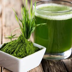 Barley Grass Juice: Barley Grass Juice ਪੀਣ ਦੇ ਫਾਇਦੇ ਹੀ ਫਾਇਦੇ