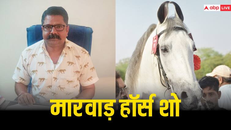 Rajasthan 9th two day Marwar Horse Show will start from February 4 in Jodhpur ann Rajasthan News: 4 फरवरी से जोधपुर में मारवाड़ हॉर्स शो, रजिस्टर्ड घोड़े लेंगे भाग