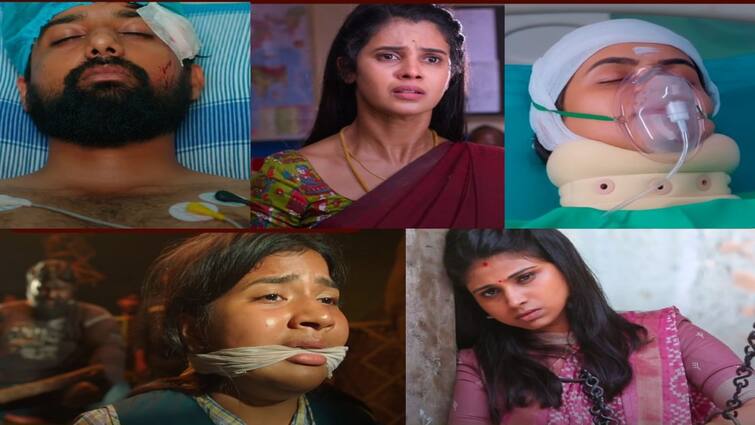 Sun tv serials great transformation of characters in the month ofJanuary எதிர்நீச்சல் முதல் கயல் வரை: ஜனவரி மாதத்தில் தலைகீழாக மாறிப்போன சன் டிவி சீரியல் கேரக்டர்கள்!