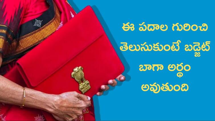 Budget 2024 Check All FAQs And Key words key details In union Interim Budget Budget 2024: బడ్జెట్‌ను బాగా అర్థం చేసుకోవాలంటే ఈ కీలక పదాలు మీకు తెలియాలి