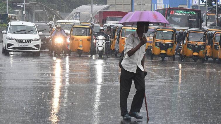 Tamil Nadu is likely to receive light rain for the next 3 days Meteorological Department TN Rain Alert: தென்னிந்தியாவில் நிலவும் வளிமண்டல கீழடுக்கு சுழற்சி..  3 நாட்களுக்கு மழை இருக்கு