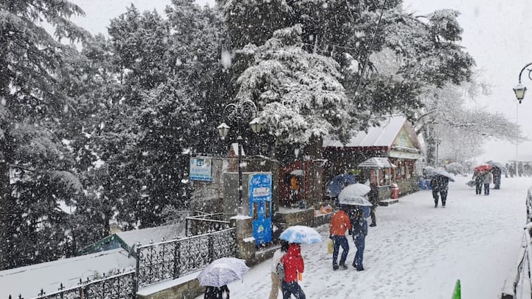 Himachal Pradesh witnesses light snowfall shimla turn into winter  wonderland ANN | In Pics: शिमला में बर्फबारी से मौसम हुआ सुहाना, स्नोफॉल के  बीच मस्ती करते दिखे पर्यटक