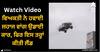 Viral Video: ਵਿਅਕਤੀ ਨੇ ਹਵਾਈ ਜਹਾਜ ਵਾਂਗ ਉਡਾਈ ਕਾਰ, ਫਿਰ ਇਸ ਤਰ੍ਹਾਂ ਕੀਤੀ ਲੈਂਡ, ਦੇਖ ਕੇ ਉੱਡ ਜਾਣਗੇ ਹੋਸ਼