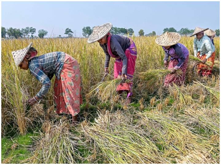 चुनाव पास, फिर भी सरकार ने नहीं बढ़ाई किसान निधि, 2019 में मिला था फायदा, जानें इसके बारे में सबकुछ