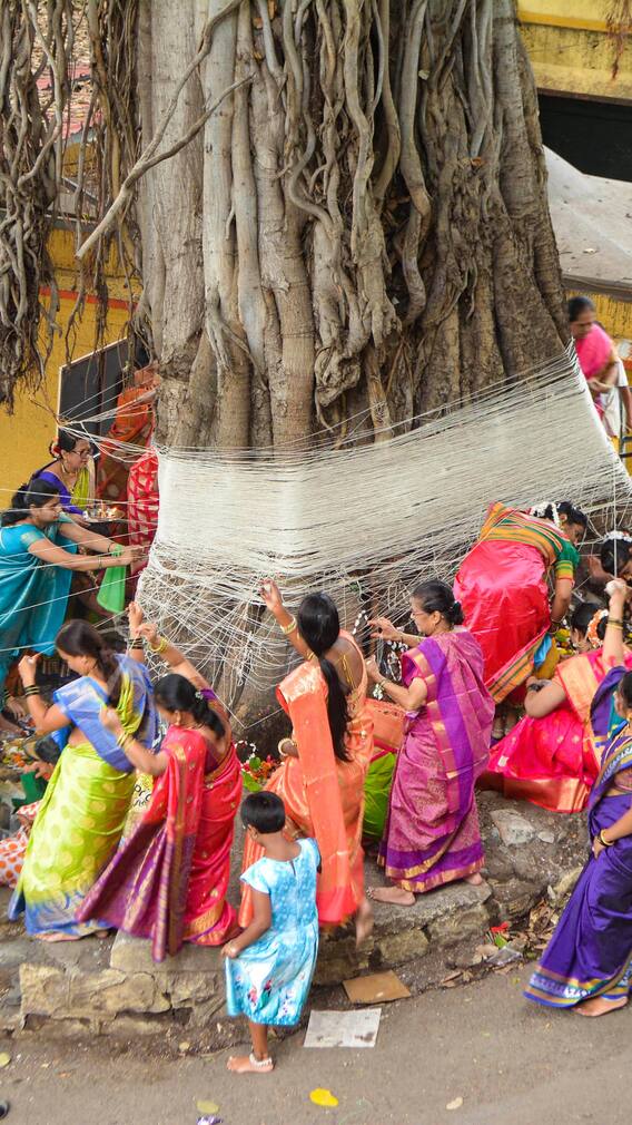 આ વૃક્ષ-છોડની પૂજા કરવાથી ઘરમાં આવે છે સમૃદ્ધિ