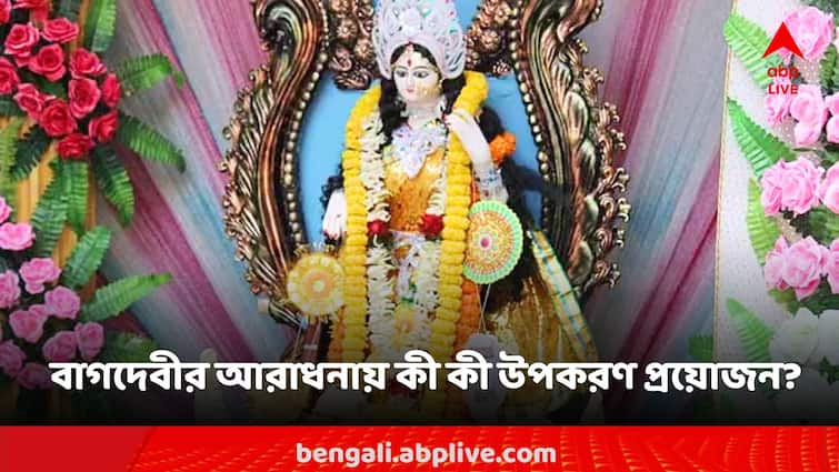 Saraswati Puja Basant Panchami 2024 celebrate this festival here is the reason Saraswati Puja: বাগদেবীর পুজোয় কোন উপকরণ লাগবেই? পলাশপ্রিয়ার পুজোয় কী নিয়ম মানতে হবে?