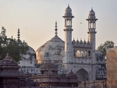 Armed With Court Order, Hindus Pray At Gyanvapi Mosque After 30 Years — IN PICS