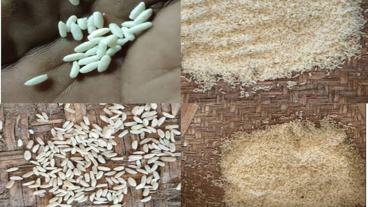 Thoothukudi news Poor people are affected by adulterated rice distributed in ration shops - TNN தூத்துக்குடி மாவட்டத்தில் செறிவூட்டப்பட்ட அரிசி கலப்படம்; ஏழை மக்கள் பாதிப்பு