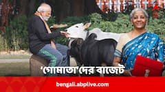 ‘গোমাতা’দের জন্যও ঘোষণা বাজেটে, জোর মৎস্য শিল্পে