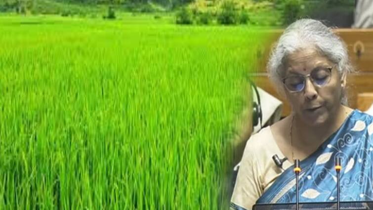 Agriculture Budget 2024 Highlights Key Announcements Nirmala Sitharaman says MSP increased periodically Agriculture Budget 2024: பால் உற்பத்தியாளர்களுக்கு அடிச்சது ஜாக்பாட்... பட்ஜெட்டில் அசத்தல் அறிவிப்பு