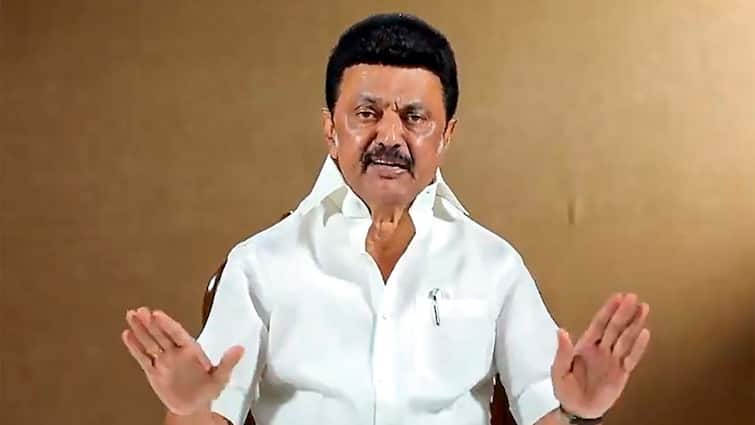 Tamil Nadu Chief Minister MK Stalin has released his statement regarding the Interim Budget 2024 CM Stalin: 