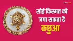 Fengshui Tortoise Tips: मां लक्ष्मी को आकर्षित करता है इस धातु का कछुआ, घर में रखने से होगा लाभ
