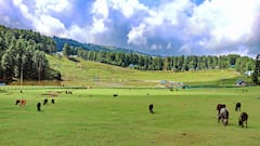 भारत में कौन है सबसे बड़ी जमीन का मालिक, टाटा-अंबानी का नहीं है नाम