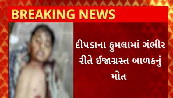 Gir Somnath : ગીર સોમનાથના વેરાવળમાં સામે આવ્યો ચાર પગનો આતંક