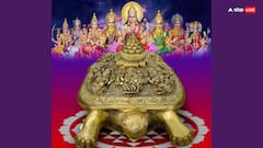 Fengshui Tortoise Tips: मां लक्ष्मी को आकर्षित करता है इस धातु का कछुआ, घर में रखने से होगा लाभ