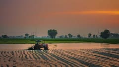 भारत में एक व्यक्ति खेती के लिए खरीद सकता है कितनी जमीन? जानिए क्या है नियम