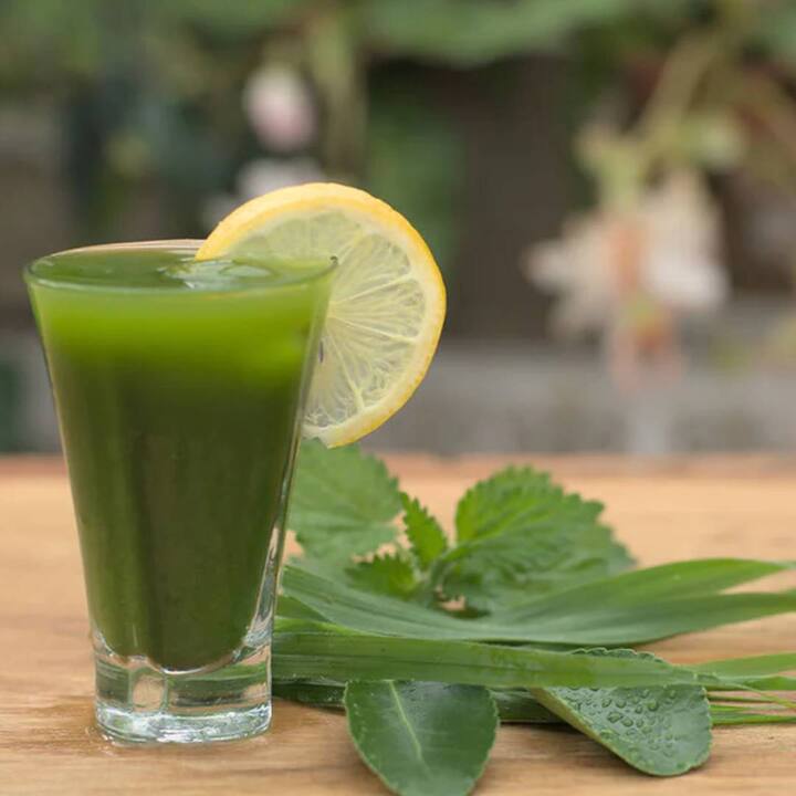 the-benefits-of-drinking-barley-grass-juice-are-the-only-benefits
