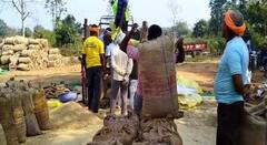 शेतकऱ्यांना दिलासा! धान खरेदी नोंदणीला पुन्हा महिन्याभराची मुदतवाढ