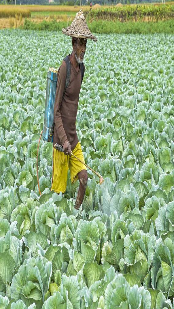 किसान क्रेडिट कार्ड बनवण्यासाठी तुम्हाला काय करावे लागेल?