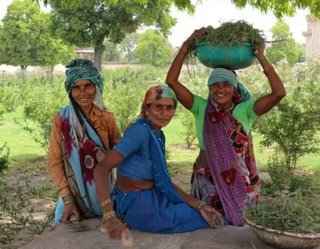 કિસાન ક્રેડિટ કાર્ડ બનાવવા માટે તમારે નજીકની બેન્કમાં જવું પડશે, જ્યાં તમને એક અરજી ફોર્મ આપવામાં આવશે. અહીં તમારી પાસે ઓળખ કાર્ડ, આવક પ્રમાણપત્ર જેવા દસ્તાવેજો માંગવામાં આવશે.અરજીપત્રકની સાથે તમામ દસ્તાવેજો બેંકમાં જમા કરાવો. આ પછી જો બધું યોગ્ય જણાય અને તમે પાત્ર છો તો તમને ક્રેડિટ કાર્ડ આપવામાં આવશે.