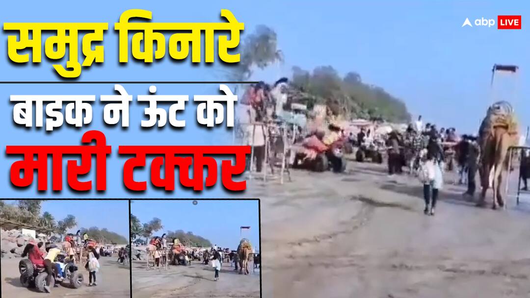 Video: समुद्र किनारे बाइक ने ऊंट को मारी टक्कर, सोशल मीडिया पर खूब वायरल हो रहा वीडियो In alibag ATV Bike hit the camel in beach side viral video Video: समुद्र किनारे बाइक ने ऊंट को मारी टक्कर, सोशल मीडिया पर खूब वायरल हो रहा वीडियो