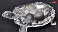 Fengshui Tortoise Tips: સુતેલા નસીબને પણ જગાડી શકે છે આ કાચબો, ઘરમાં રાખવાથી થશે લાભ