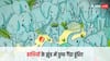 Optical Illusion: खुद को समझते हैं बहुत समझदार, तो 10 सेकंड्स में हाथी के झुंड में छिपा गैंडा ढूंढ़कर बताइये