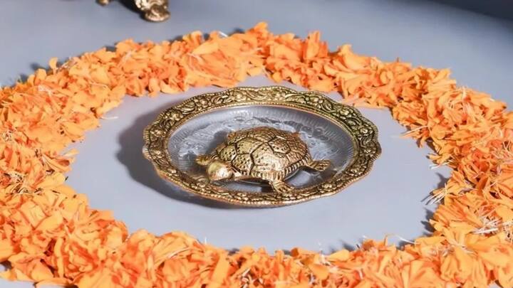 તમામ તસવીરનો ઉપયોગ પ્રસ્તુતિકરણ માટે કરવામાં આવ્યો છે.