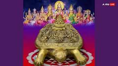 Fengshui Tortoise Tips: સુતેલા નસીબને પણ જગાડી શકે છે આ કાચબો, ઘરમાં રાખવાથી થશે લાભ