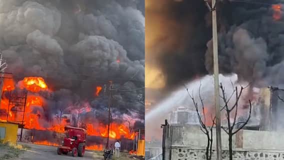 Nashik Sinnar MIDC Fire : नाशिक: सिन्नरमध्ये अग्नितांडव; मुसळगाव एमआयडीसीतील कारखान्यात भीषण आग Nashik Sinnar MIDC Fire : नाशिक: सिन्नरमध्ये अग्नितांडव; मुसळगाव एमआयडीसीतील कारखान्यात भीषण आग