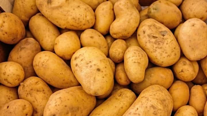 आलू की तगड़ी पैदावार पाने के लिए किसान खाद और उर्वरकों का प्रयोग मिट्टी परीक्षण के आधार पर करें. आइए जानते हैं कुछ खास टिप्स जिससे आप भी आलू की अच्छी पैदावार प्राप्त कर सकते हैं.