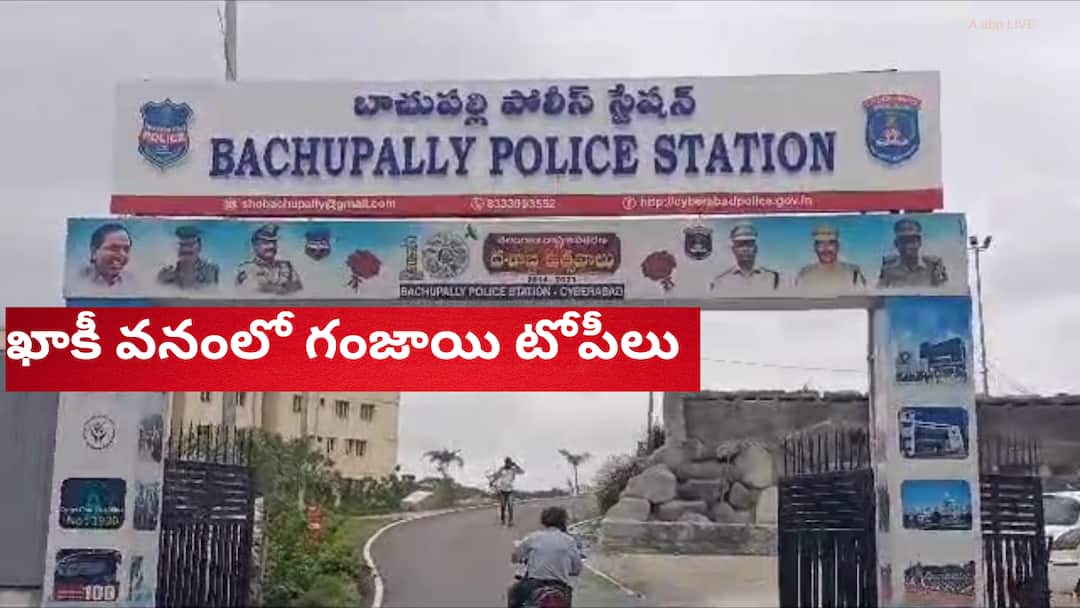 AP police caught smuggling ganja arrested in Hyderabad Andhra Pradesh Police : గంజాయి స్మగ్లింగ్ చేస్తూ దొరికిన ఏపీ పోలీసులు- అరెస్టు చేసిన సైబరాబాద్ బాలానగర్ టాస్క్ ఫోర్స్