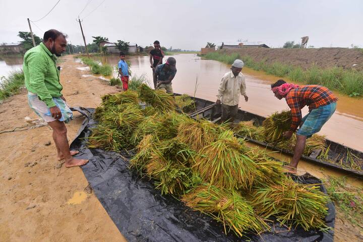 फसल को नुकसान पहुंचने की स्थिति में 72 घंटे के भीतर आपको इसकी सूचना कृषि विभाग को देनी होती है, जिसके बाद तमाम तरह की जानकारी आपसे मांगी जाएगी. दावा सही पाए जाने पर आपको बीमा मिल जाएगा.