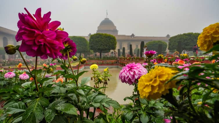 Amrit Udyan Mughal Gardens Timings Online Ticket Booking Rashtrapati Bhavan Udyan Utsav 2024: Tulip-Themed Amrit Udyan At Rashtrapati Bhavan Opens For Public