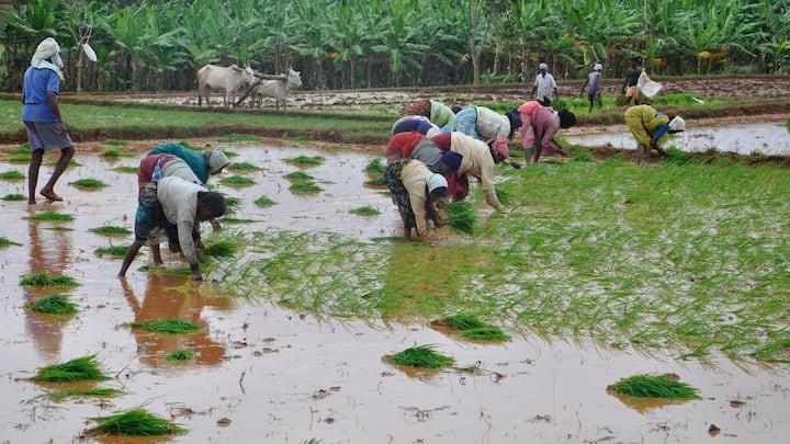 PM Kisan Samman Nidhi Yojana 16th Installment credited soon farmers can do  this work for scheme benefit | पीएम किसान सम्मान निधि योजना का लाभ पाना  चाहते हैं तो इन बातों का