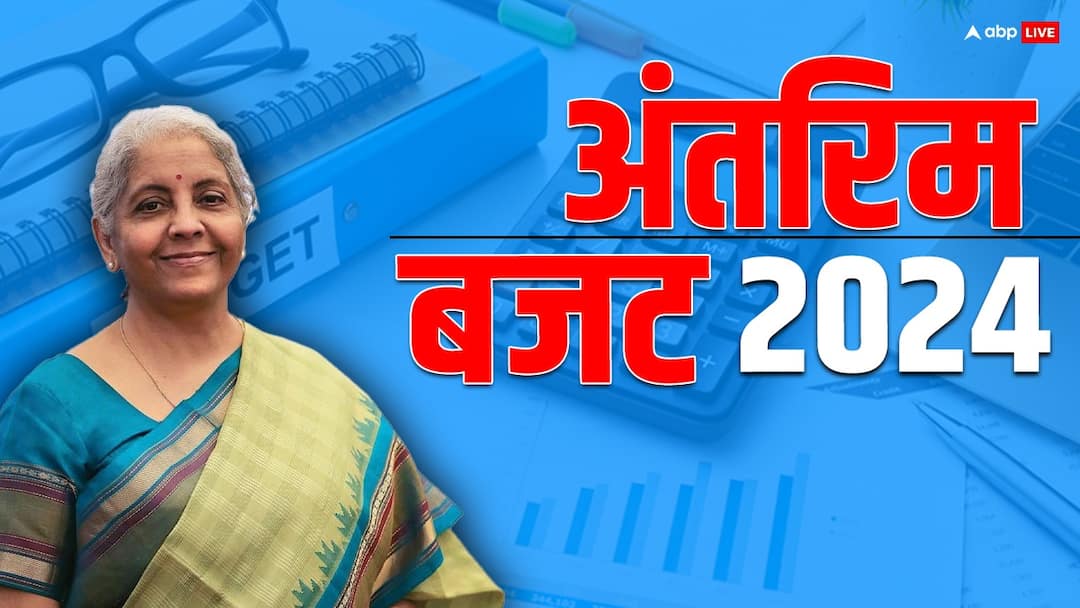 Budget 2024 India FM Sitharaman reduces divestment target for current financial year Interim Budget 2024: विनिवेश के मोर्चे पर लगा तगड़ा झटका, घटाना पड़ा टारगेट, पांचवें साल मंडरा रहा ये खतरा!