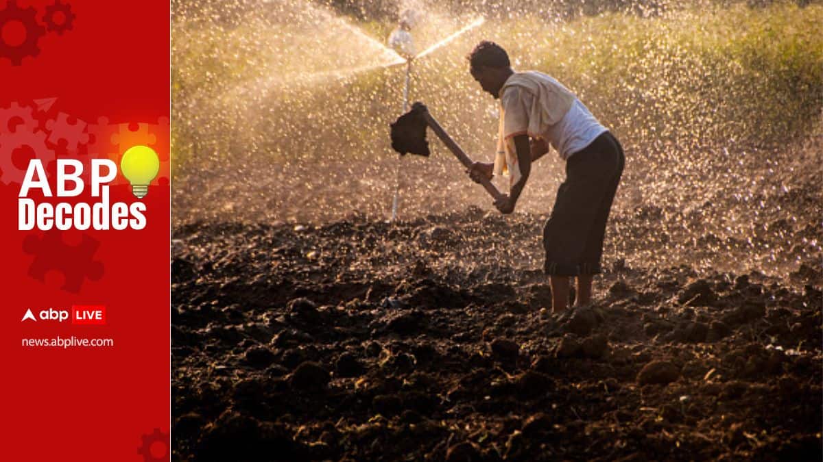 What Is Nano-DAP? Made-In-India Fertiliser To Benefit Agro-Climate Zones With Lower Land Contamination