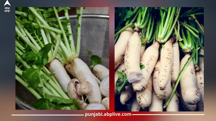 Health News: ਸਰਦੀਆਂ ਦੇ ਵਿੱਚ ਮੂਲੀ ਦਾ ਸੇਵਨ ਖੂਬ ਕੀਤਾ ਜਾਂਦਾ ਹੈ। ਮੂਲੀ ਖਾਣ ਦੇ ਕਈ ਸਿਹਤ ਲਾਭ ਹਨ। ਪਰ ਕੁੱਝ ਲੋਕਾਂ ਨੂੰ ਭੁੱਲ ਕੇ ਵੀ ਇਸ ਦਾ ਸੇਵਨ ਨਹੀਂ ਕਰਨਾ ਚਾਹੀਦਾ ਹੈ। ਆਓ ਜਾਣਦੇ ਹਾਂ...