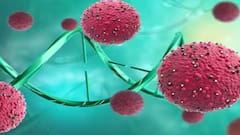 క్యాన్సర్ మహమ్మారిని గజగజా వణికించే ఫుడ్స్ ఇవే